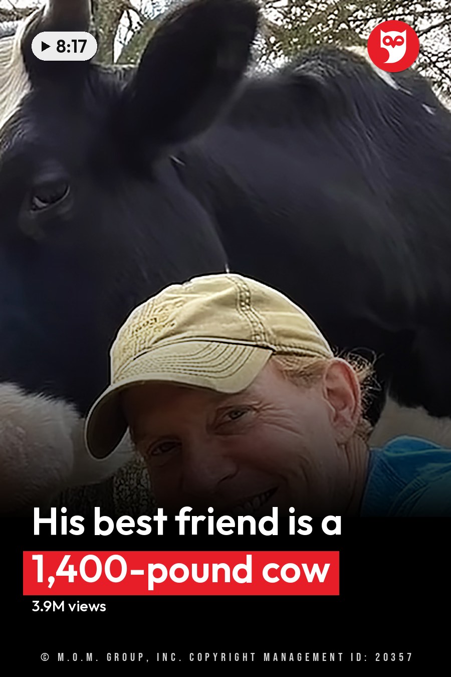 A young adult female with long reddish-brown hair takes a selfie in an outdoor rural setting with two cows, one brown and white, the other black-and-white Holstein. Trees and natural light suggest spring or summer. The headline runs in white letters across the lower third.