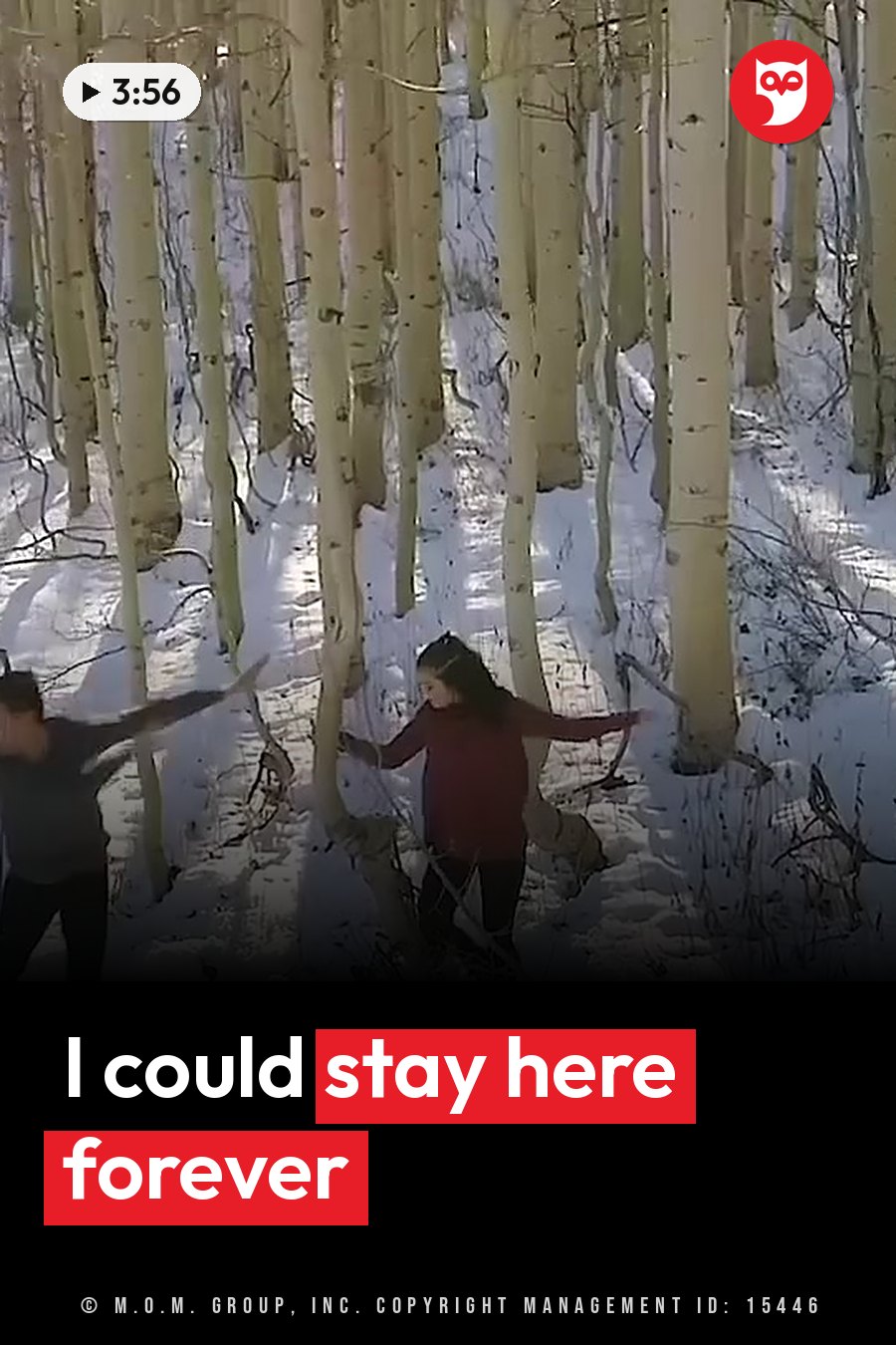 Two people stand among tall white-barked trees in a snowy forest with their arms stretched out to the sides. A headline runs in white letters across the lower third.