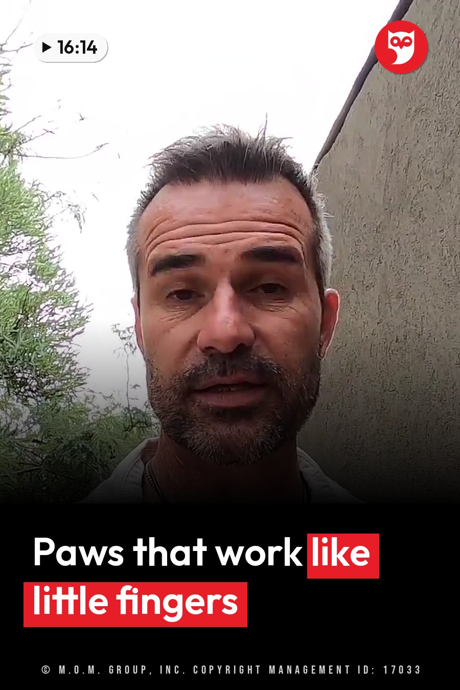 Kevin Richardson, with short hair and a beard, looks toward the camera outdoors near a wall and trees. A headline runs in white letters across the lower third.