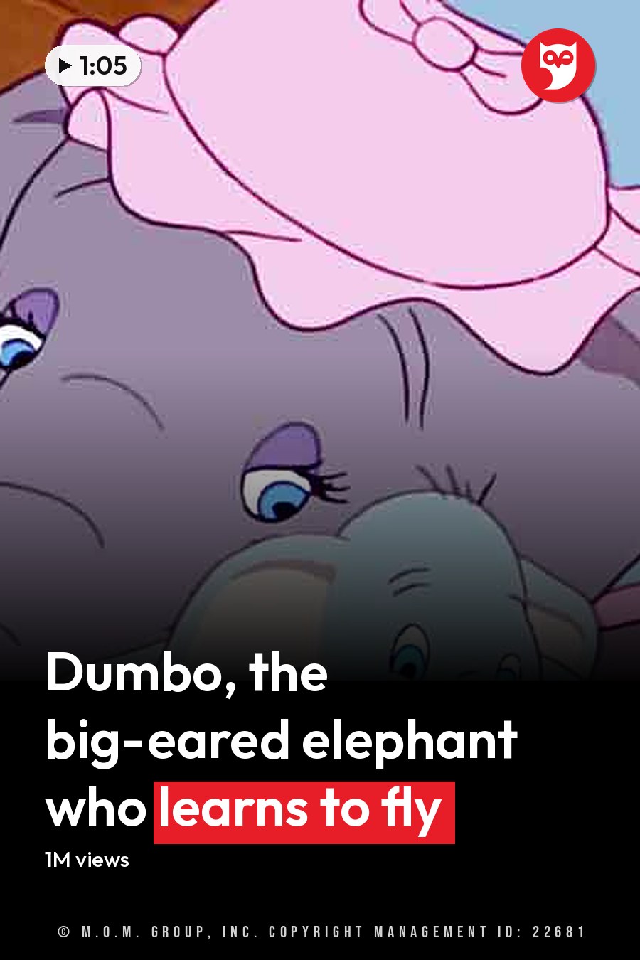 Two elephants, one wearing a pink hat with a bow, are resting indoors against a backdrop of light brown wooden paneling; their blue eyes stand out amidst muted gray tones. The headline runs in white letters across the lower third.