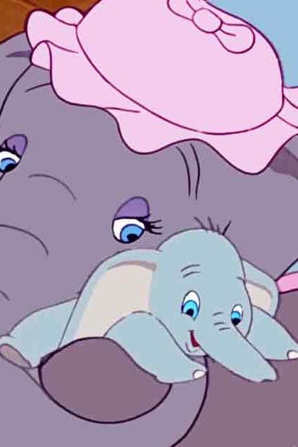 Two elephants, one wearing a pink hat with a bow, are resting indoors against a backdrop of light brown wooden paneling; their blue eyes stand out amidst muted gray tones.