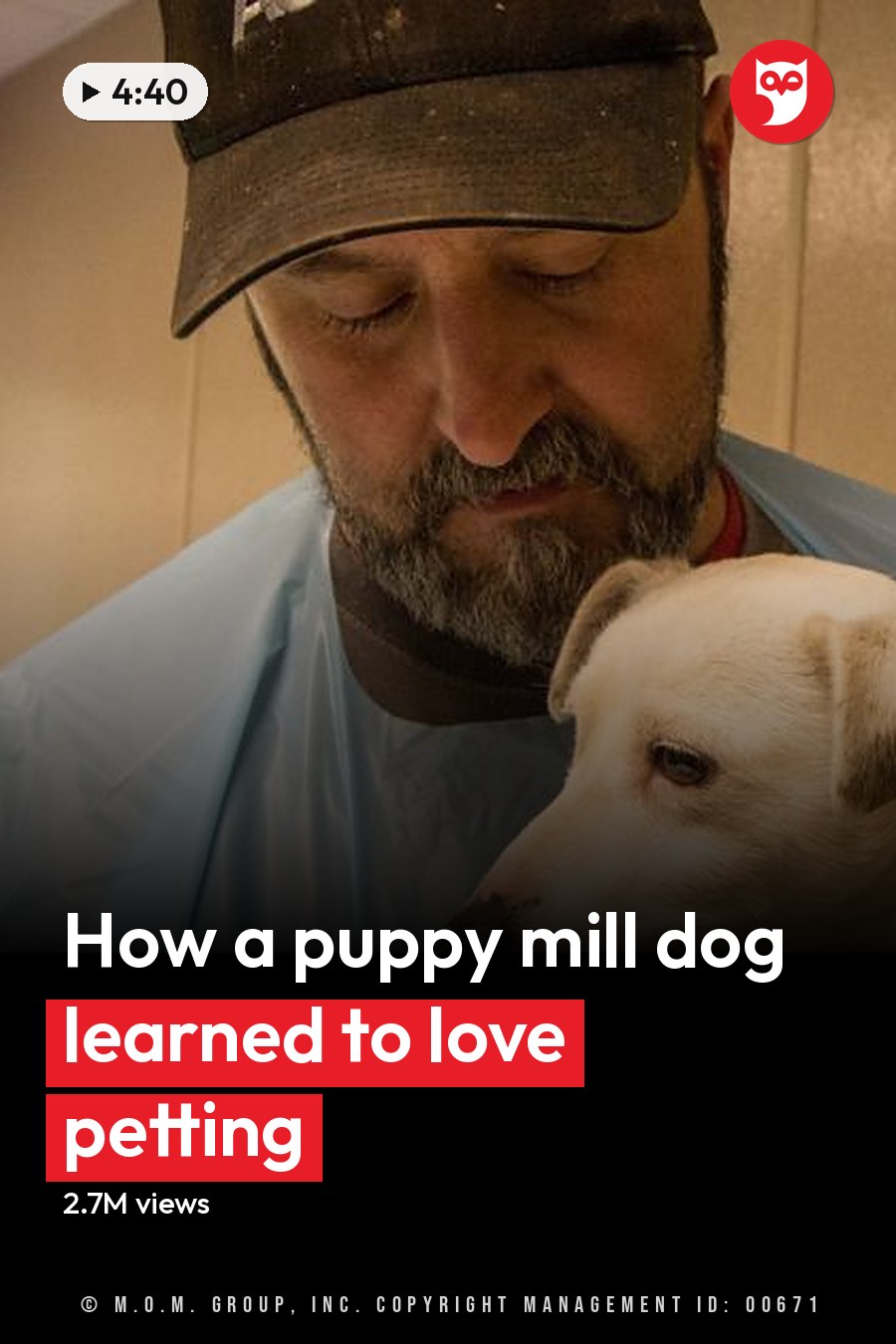An adult male wearing a light blue disposable surgical gown, holding an adult Labrador Retriever mix in what appears to be an animal shelter or veterinary clinic with beige walls and greenery outside. The headline runs in white letters across the lower third.