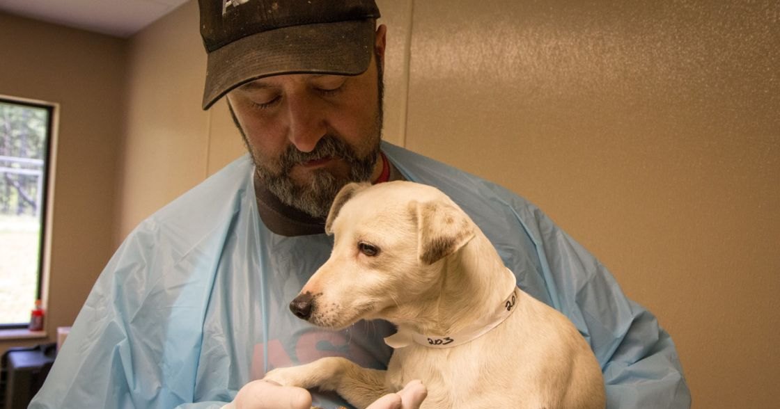 An adult male wearing a light blue disposable surgical gown, holding an adult Labrador Retriever mix in what appears to be an animal shelter or veterinary clinic with beige walls and greenery outside.