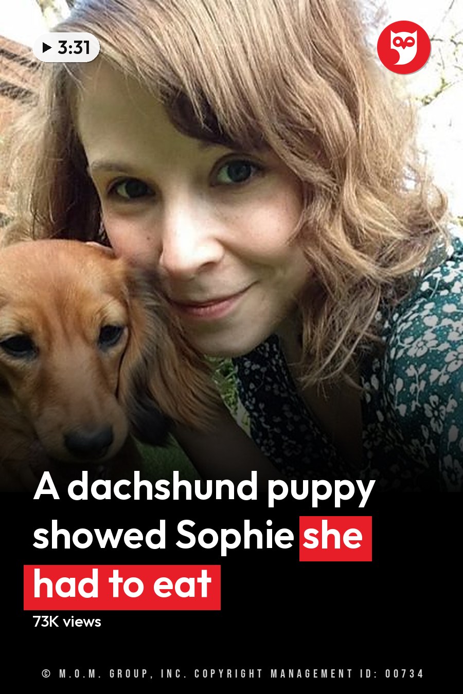 A Dachshund puppy or young adult with golden brown and darker markings, standing outdoors. The setting is a backyard garden during spring or summer, with green grass and blooming plants in the background. The headline runs in white letters across the lower third.