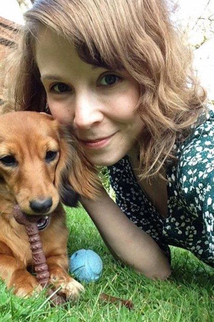 A Dachshund puppy or young adult with golden brown and darker markings, standing outdoors. The setting is a backyard garden during spring or summer, with green grass and blooming plants in the background.