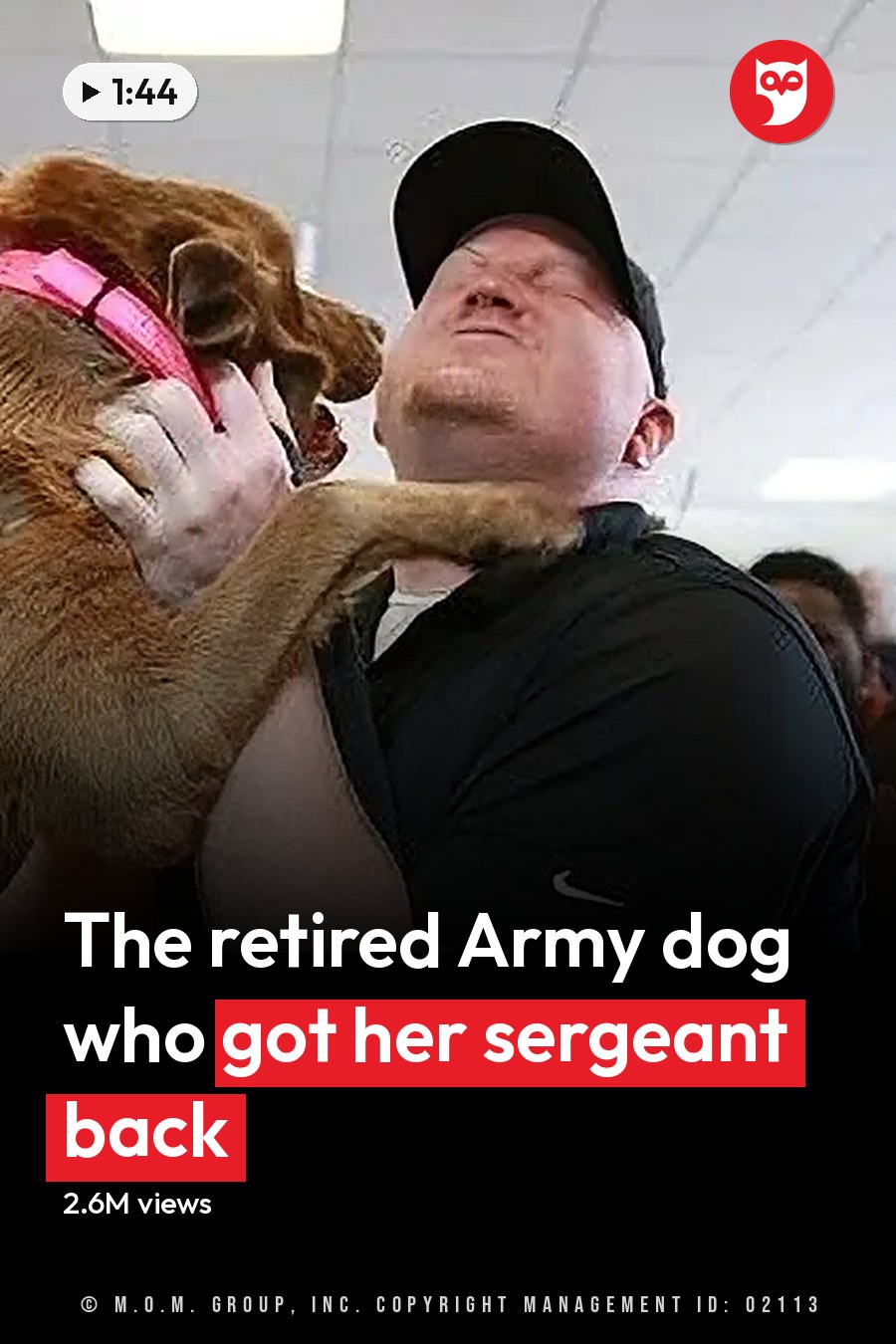 An adult male hugging a golden-brown Labrador Retriever mix in an indoor setting with other people interacting with animals, bright lighting suggesting daytime. The headline runs in white letters across the lower third.