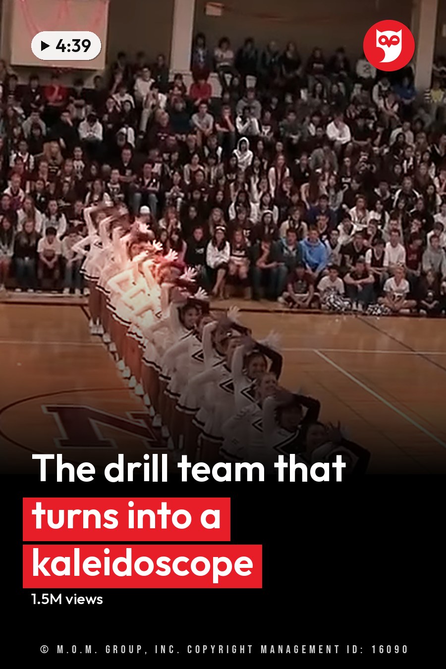 Cheerleaders performing in a gymnasium with an audience watching, indoors during daytime or early evening under indoor lighting. The headline runs in white letters across the lower third.