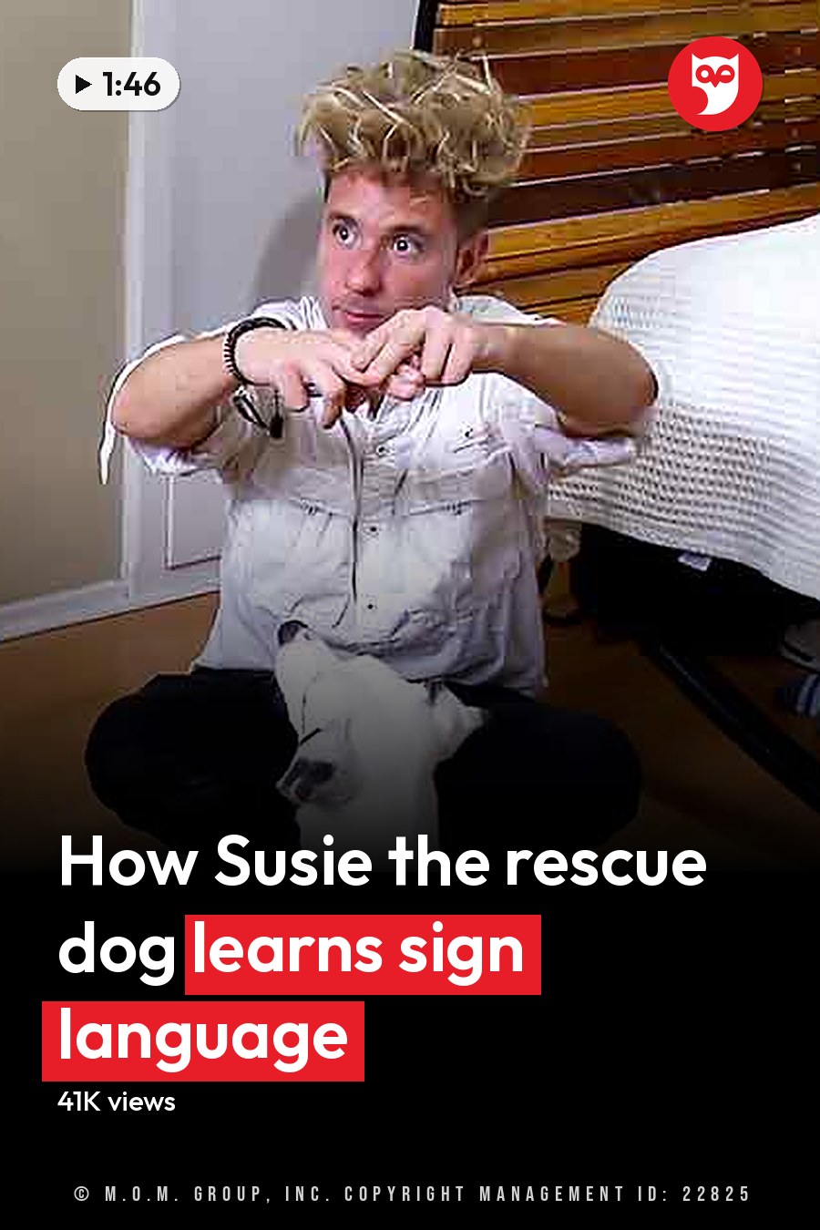 A young adult male and two adult females are in a bedroom with furniture and a white dog wearing a green collar. The setting appears to be indoors during the daytime. The headline runs in white letters across the lower third.