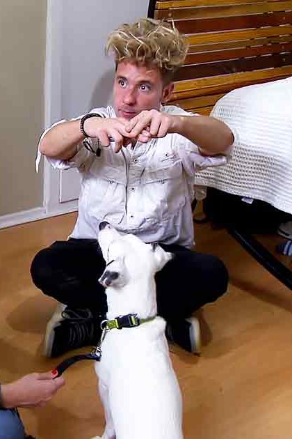 A young adult male and two adult females are in a bedroom with furniture and a white dog wearing a green collar. The setting appears to be indoors during the daytime.