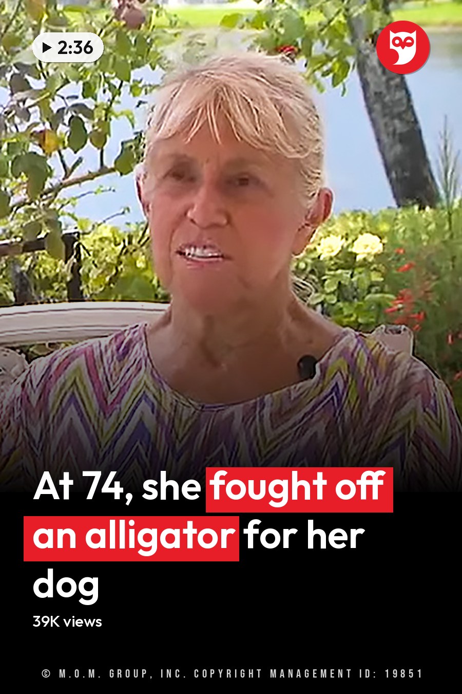 An older adult female in a casual, contemporary zigzag-patterned blouse sits on a white metal bench with a light golden Labrador Retriever mix wearing a collar and tag amidst lush green foliage in bright daylight, suggesting spring or summer. The headline runs in white letters across the lower third.