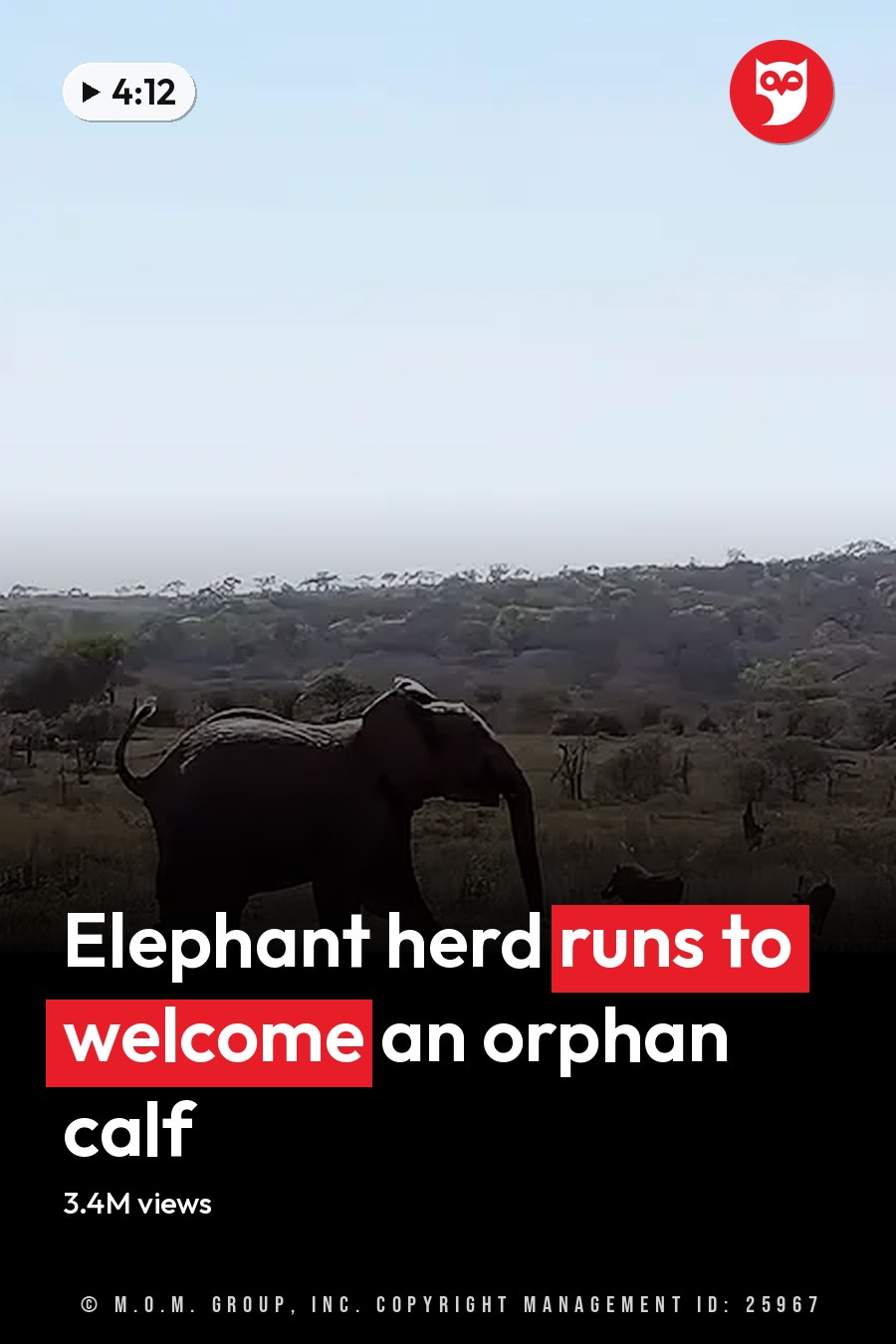 An adult elephant and antelopes amidst dry savanna landscape with sparse trees and rolling hills under bright daylight. The headline runs in white letters across the lower third.