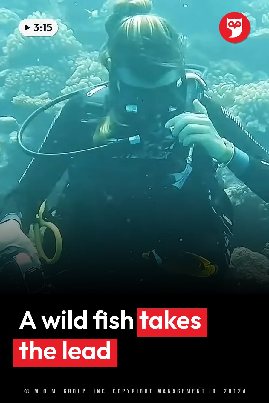 A scuba diver underwater near a coral reef holds gear while a small fish swims nearby. A headline runs in white letters across the lower third.