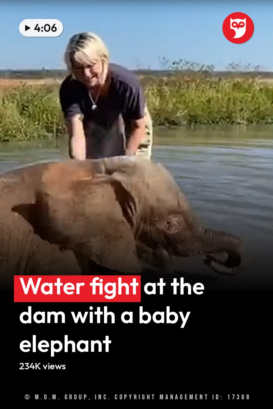 A juvenile elephant with brownish-gray coat stands in a water body, surrounded by grassy patches under a bright daytime sky. The setting suggests spring or summer. The headline runs in white letters across the lower third.