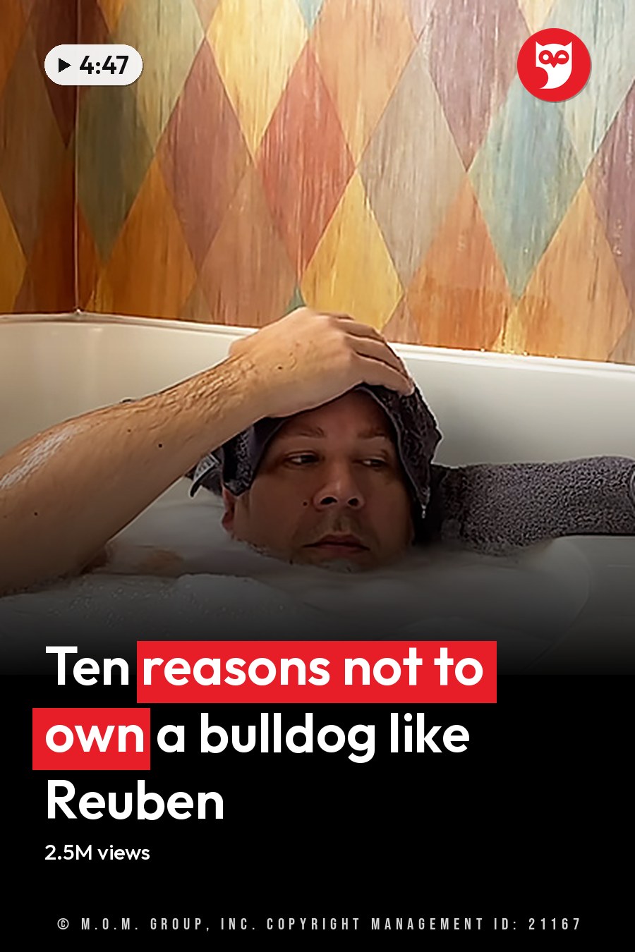 An adult male and his English Bulldog in a bathroom with colorful wallpaper, daytime lighting, and a white bathtub filled with soapy water. The headline runs in white letters across the lower third.