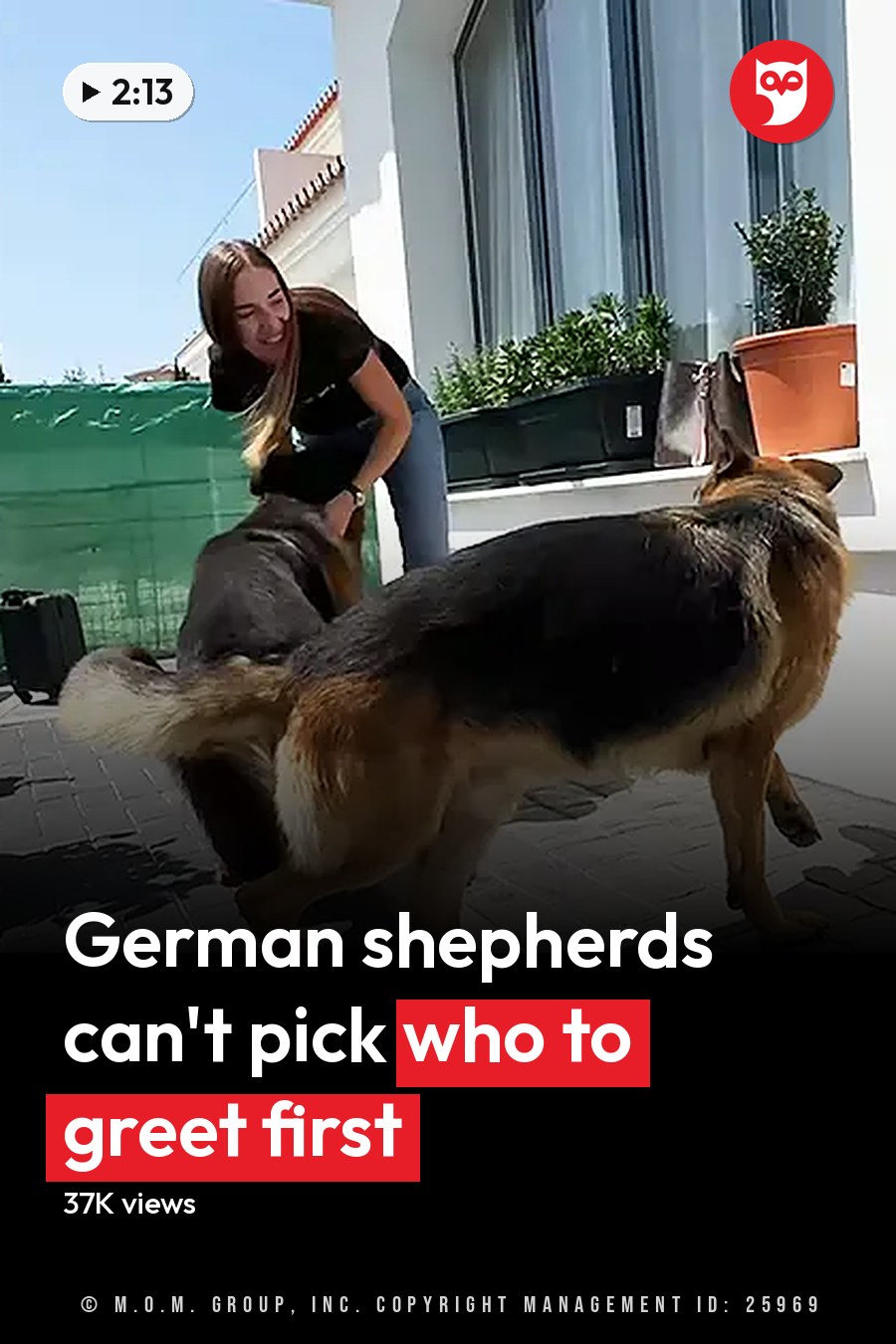 A woman interacting with two German Shepherd dogs in a sunny outdoor patio area, surrounded by potted plants and a green tarp. The headline runs in white letters across the lower third.