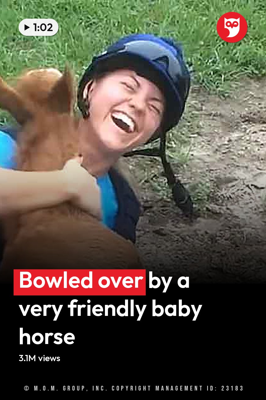 A young adult female wearing a blue t-shirt and helmet walks with her small brown Chihuahua in an outdoor grassy area, likely spring or summer day. The headline runs in white letters across the lower third.