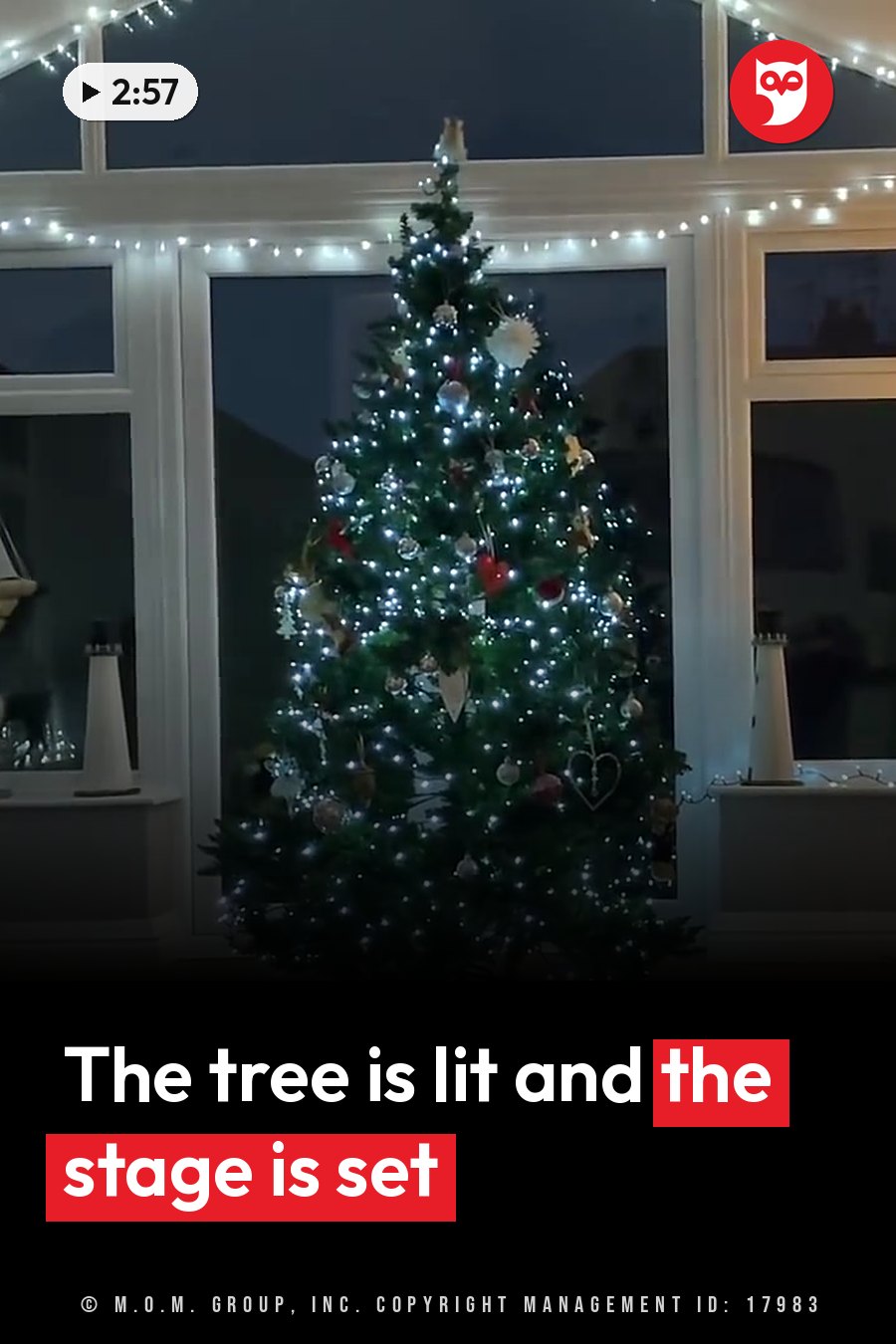 A decorated Christmas tree covered in lights stands indoors beside large dark windows at night. A headline runs in white letters across the lower third.