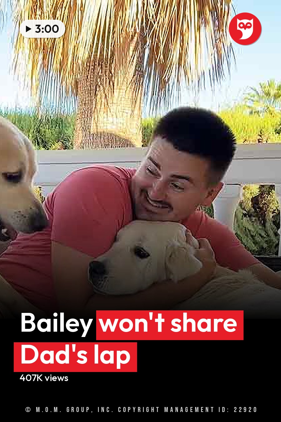 A man with two golden retriever dogs outdoors, wearing a red t-shirt and beige shorts. Palm fronds and greenery suggest spring or summer. The headline runs in white letters across the lower third.