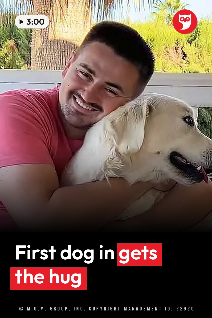 A smiling man in a pink shirt hugs a light-colored dog on a white bench outdoors, with greenery behind them. A headline runs in white letters across the lower third.