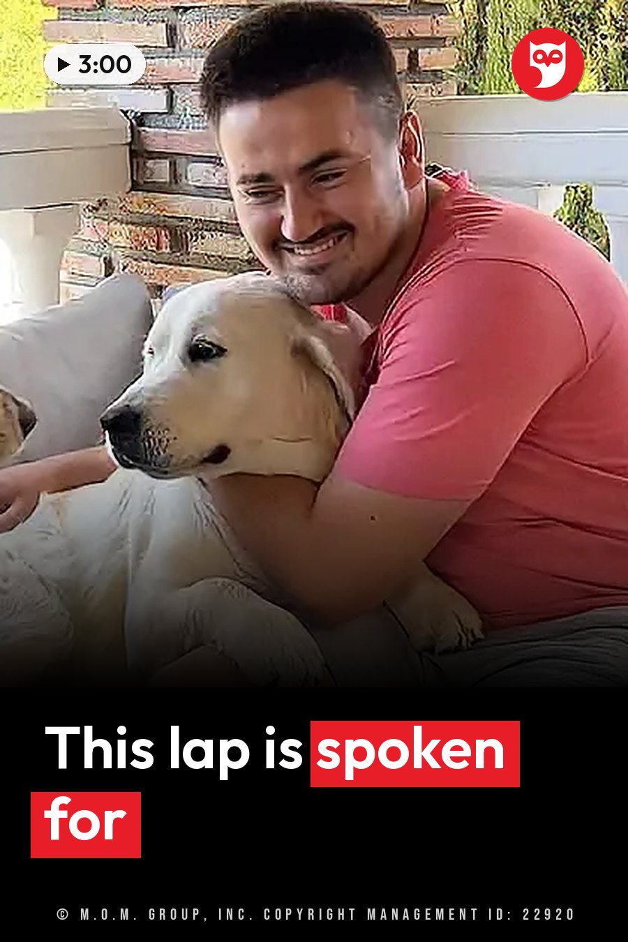 A man in a red shirt hugs a light-colored dog sitting on his lap outdoors, near a brick wall. A headline runs in white letters across the lower third.