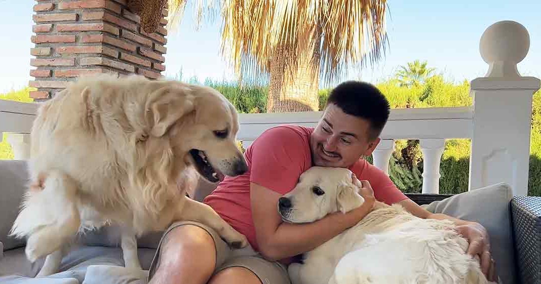 A man with two golden retriever dogs outdoors, wearing a red t-shirt and beige shorts. Palm fronds and greenery suggest spring or summer.