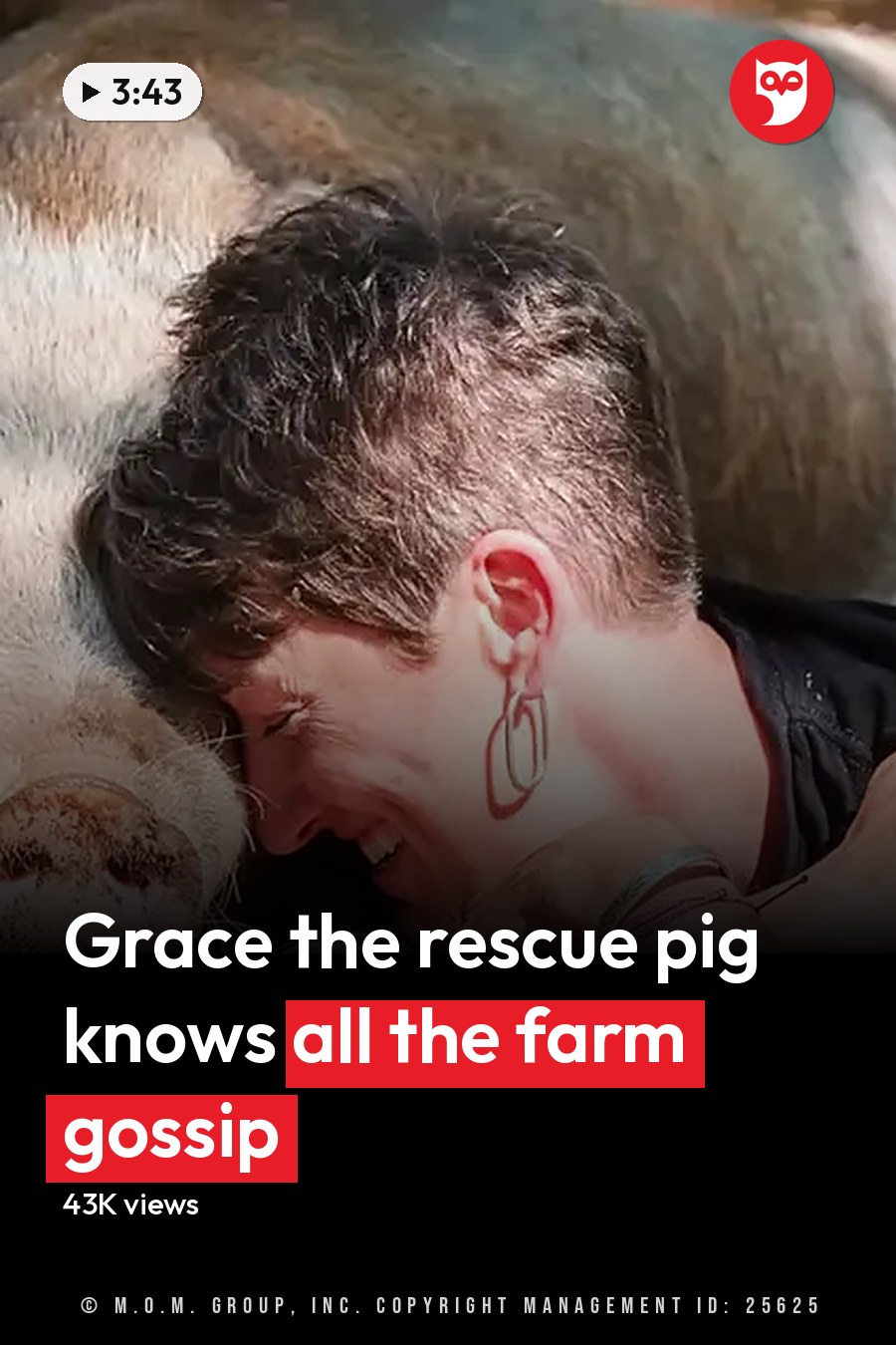 An adult female wearing a black tank top with colorful patterns, interacting with a potbellied pig in an outdoor farmyard setting during daylight. The headline runs in white letters across the lower third.