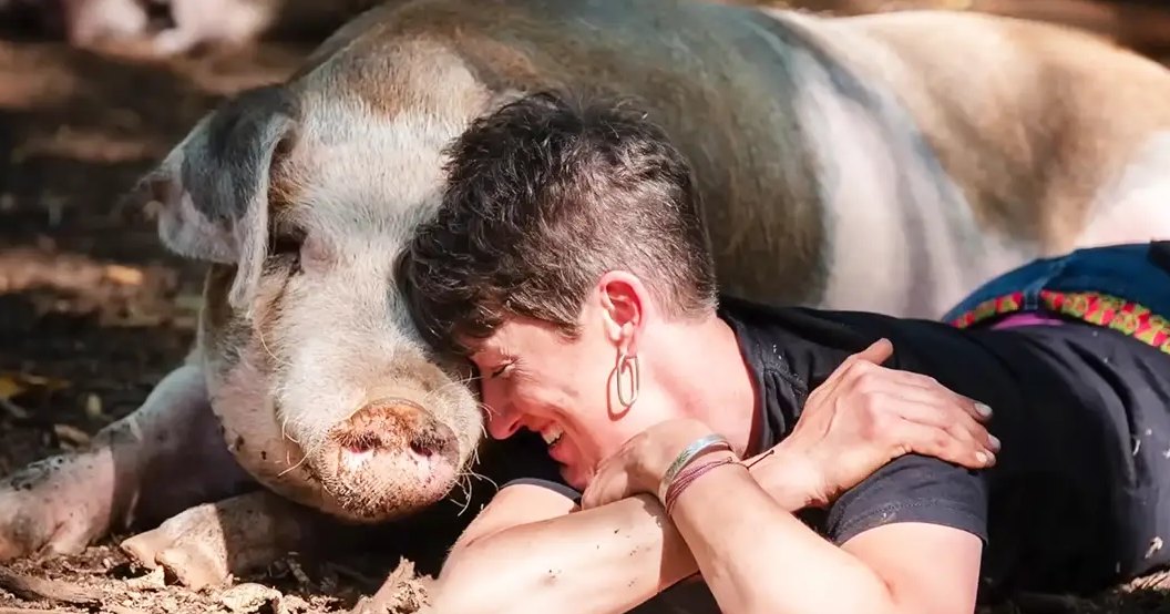 An adult female wearing a black tank top with colorful patterns, interacting with a potbellied pig in an outdoor farmyard setting during daylight.