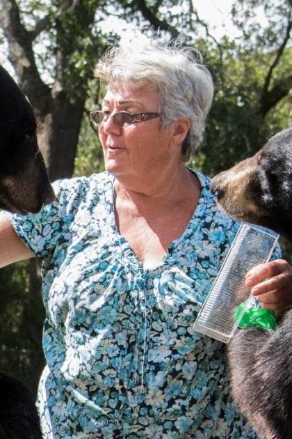 A middle-aged to older adult female interacts with two adult black bears in a wooded area, likely during spring or summer.