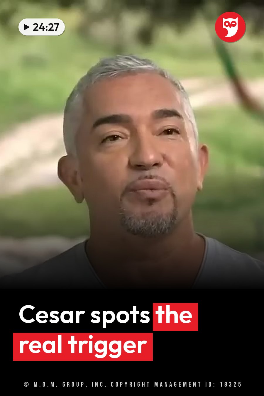 A man with gray hair and a beard looks ahead and speaks outdoors near greenery. A headline runs in white letters across the lower third.