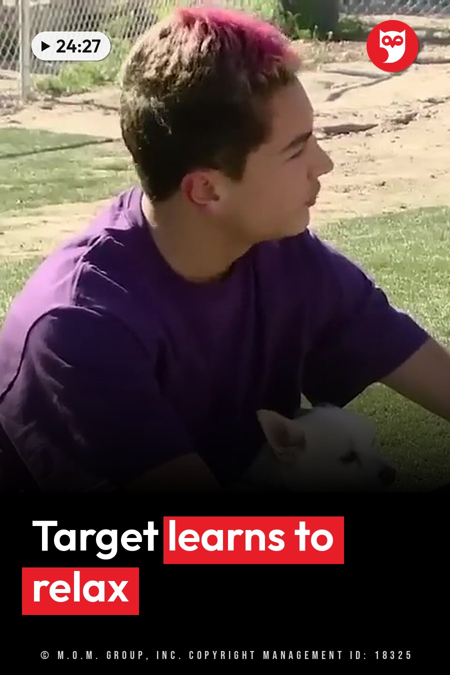 A person with pink hair and a purple shirt sits outside holding a small white dog. A headline runs in white letters across the lower third.