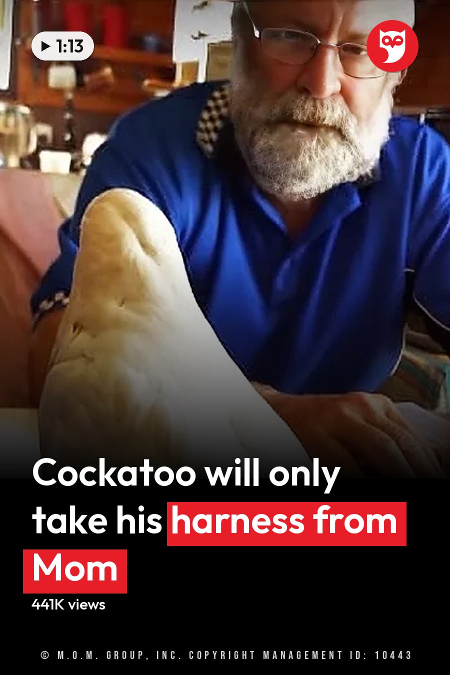 Older adult male in a blue polo shirt with white checkered pattern on shoulders, sitting at a white desk with various items around him; cockatoo perched nearby, wooden shelves holding books and other objects in the background. The headline runs in white letters across the lower third.