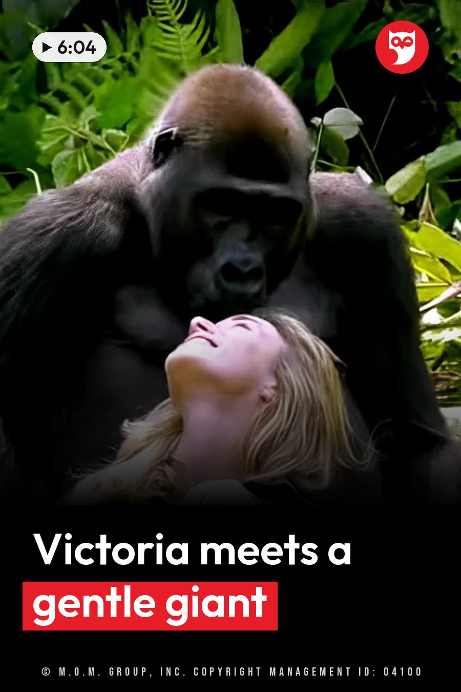 A large gorilla leans over a woman lying on her back with her head tilted up, surrounded by green leaves. A headline runs in white letters across the lower third.