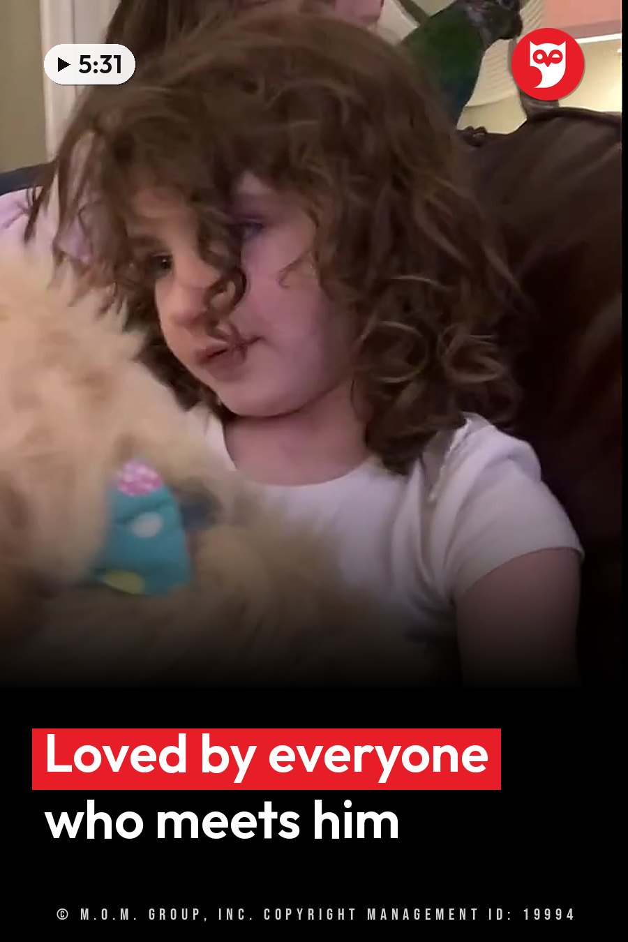 A child with curly hair sits holding a fluffy light brown dog that wears a blue collar. A headline runs in white letters across the lower third.