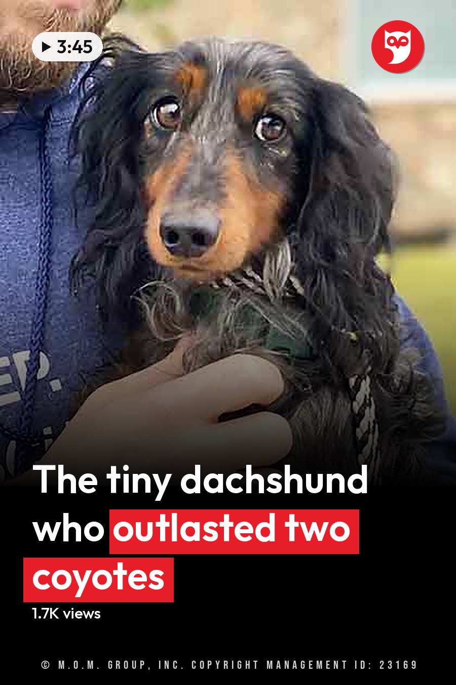 An adult male singer wearing a blue 'EAT, SLEEP, RESCUE' hoodie with a wolf and a dachshund in an outdoor setting during spring or summer. The headline runs in white letters across the lower third.