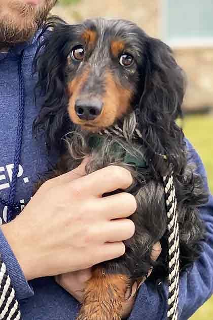 An adult male singer wearing a blue 'EAT, SLEEP, RESCUE' hoodie with a wolf and a dachshund in an outdoor setting during spring or summer.