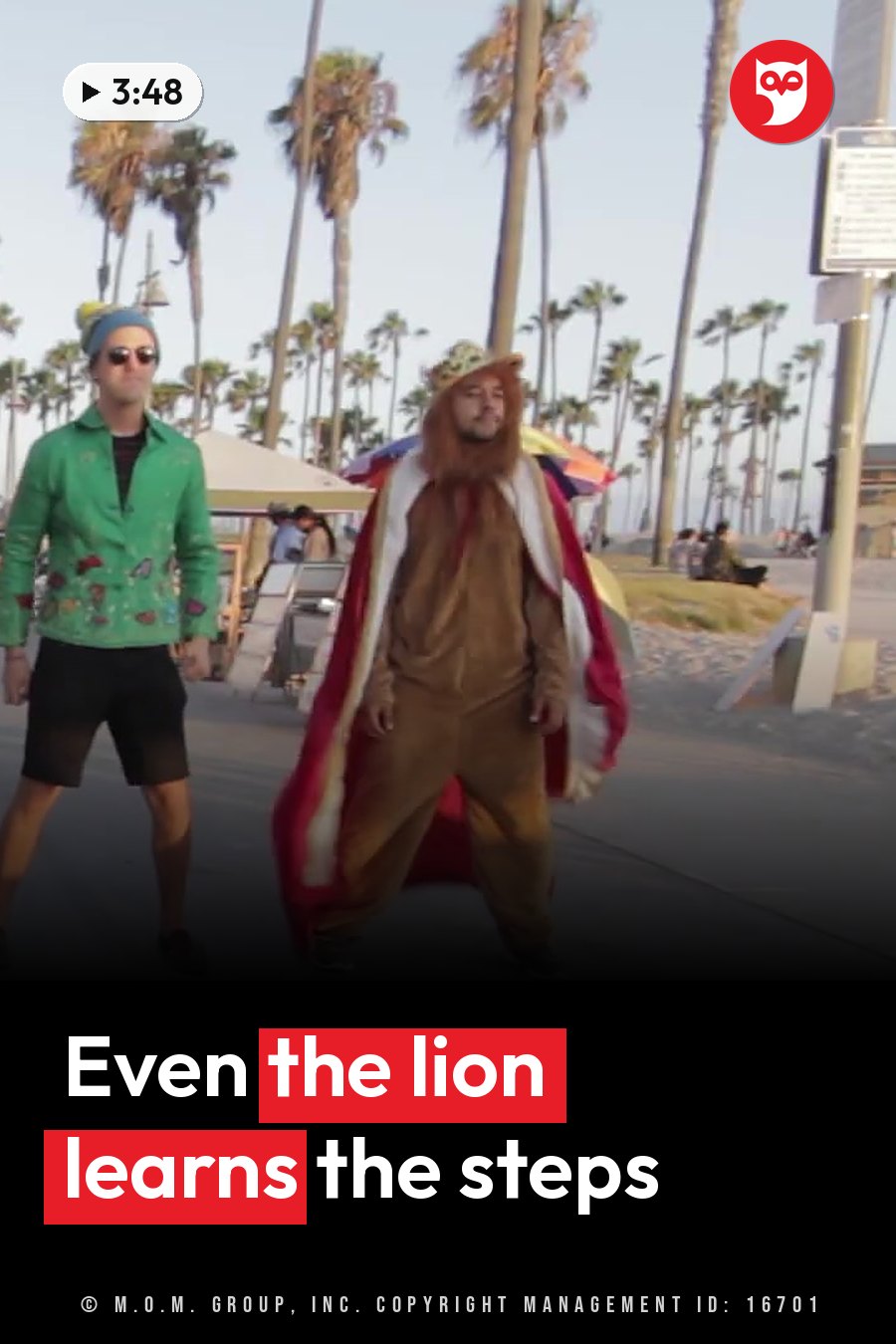 Two men walk along a beach, one in a lion costume with a cape, the other in sunglasses and a green jacket. A headline runs in white letters across the lower third.