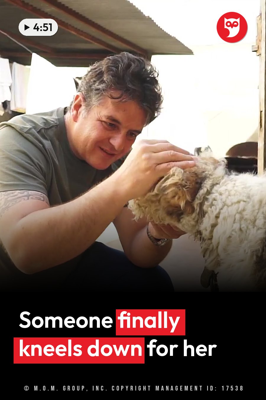 A man kneels under a roof with wooden beams and gently strokes the head of a fluffy dog. A headline runs in white letters across the lower third.