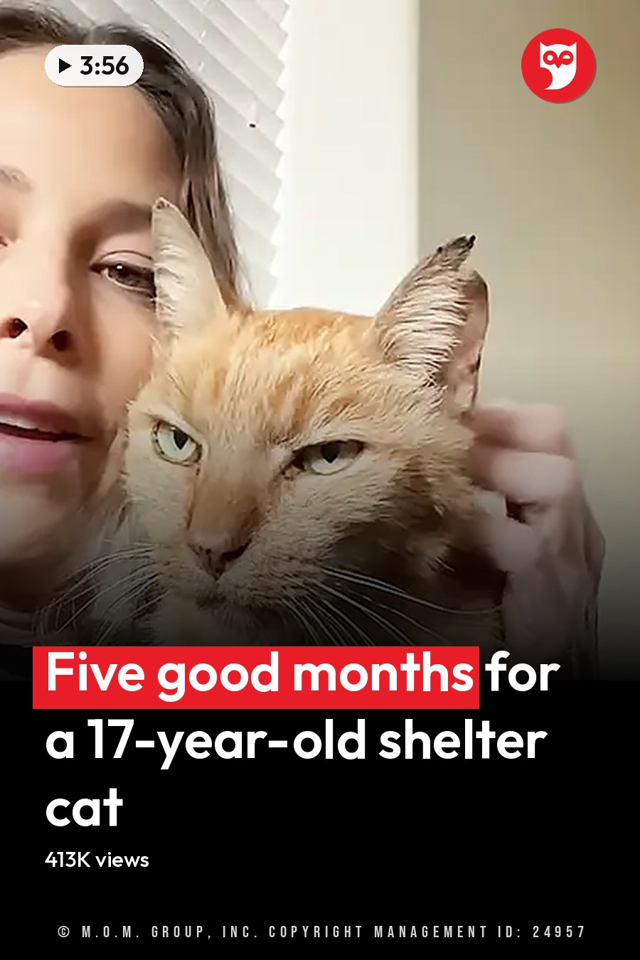 A middle-aged woman with an orange tabby cat rests on a gray cushioned chair in a living room, surrounded by neutral tones and soft natural light. The headline runs in white letters across the lower third.