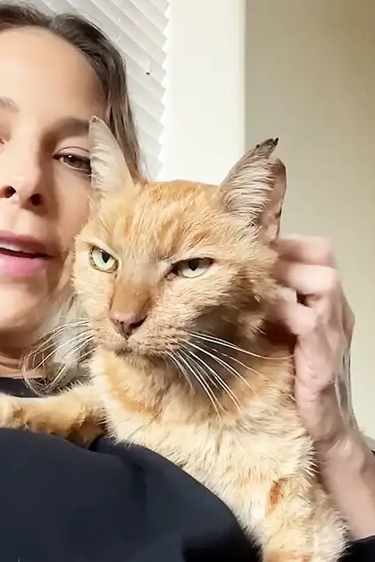 A middle-aged woman with an orange tabby cat rests on a gray cushioned chair in a living room, surrounded by neutral tones and soft natural light.