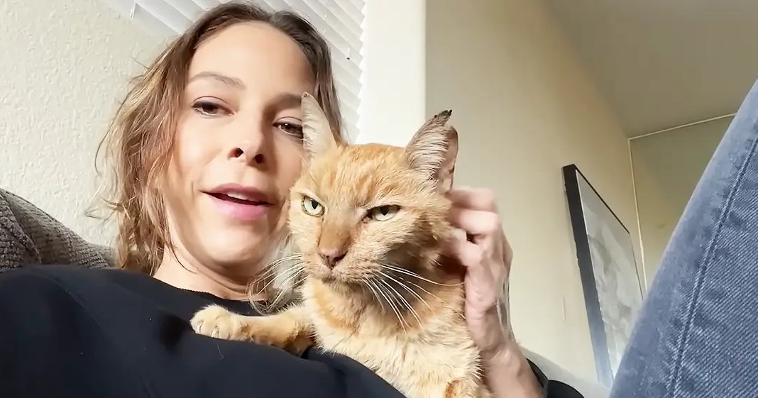 A middle-aged woman with an orange tabby cat rests on a gray cushioned chair in a living room, surrounded by neutral tones and soft natural light.