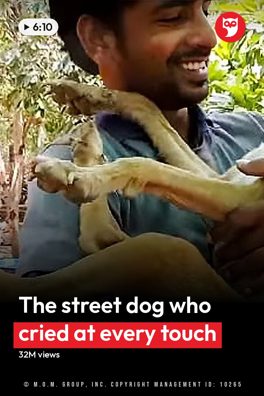 An adult male holding a mixed breed dog, possibly Labrador Retriever and Beagle, in an outdoor courtyard with trees and plants. The headline runs in white letters across the lower third.