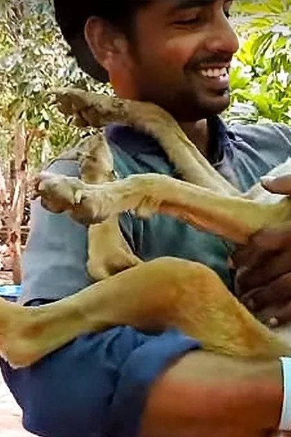 An adult male holding a mixed breed dog, possibly Labrador Retriever and Beagle, in an outdoor courtyard with trees and plants.