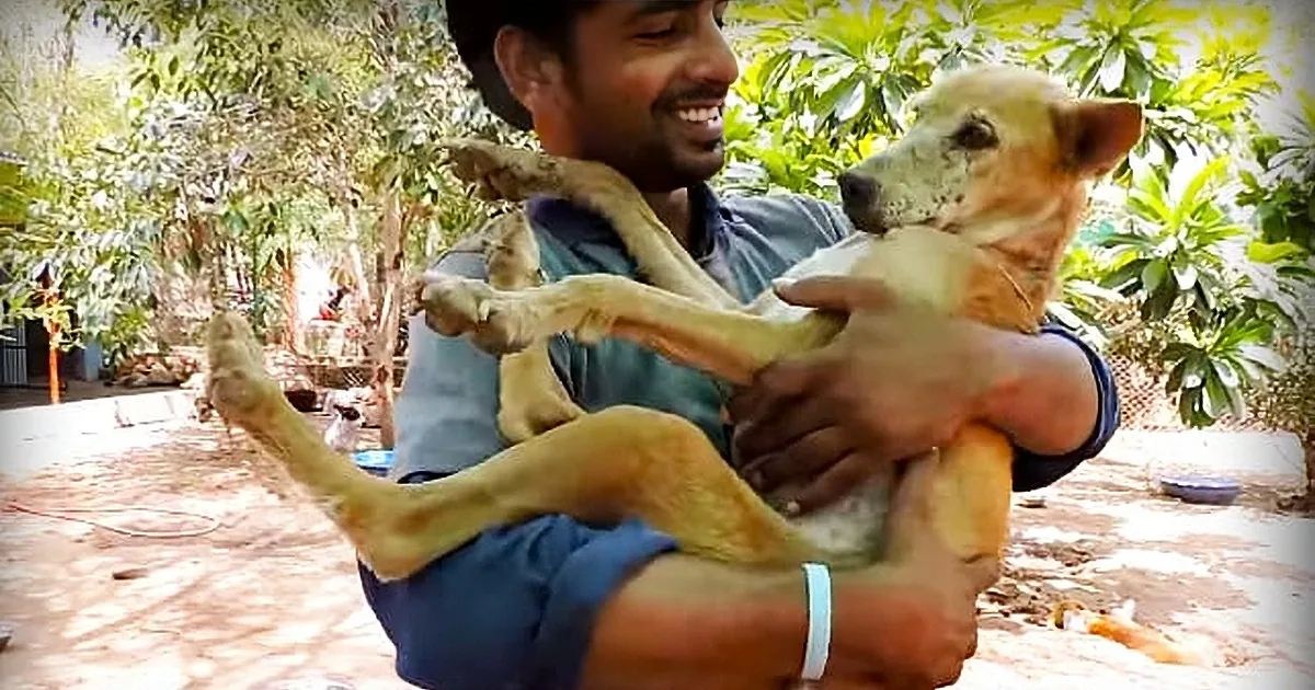 An adult male holding a mixed breed dog, possibly Labrador Retriever and Beagle, in an outdoor courtyard with trees and plants.