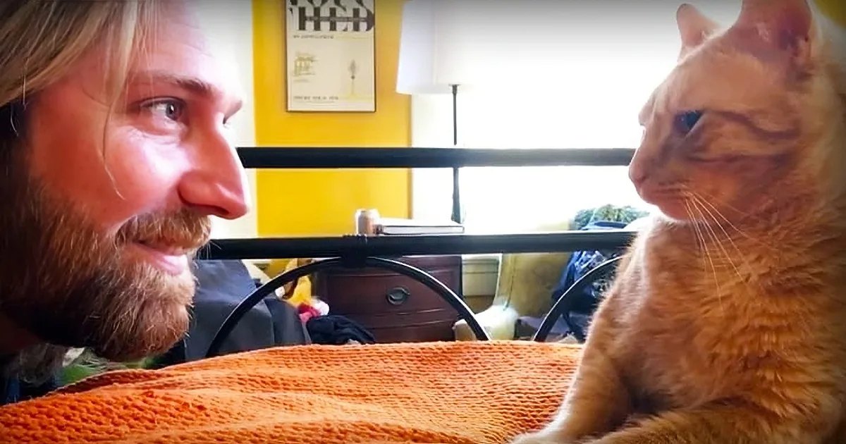 An adult male interacting with an orange tabby cat in a home setting during daytime.