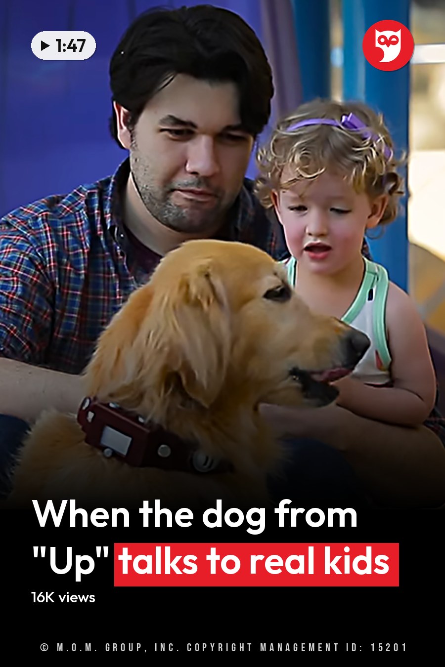 A man and a toddler female with a golden retriever dog in an outdoor playground setting during autumn, surrounded by fallen leaves under natural daylight. The headline runs in white letters across the lower third.