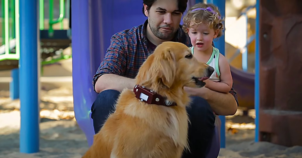 A man and a toddler female with a golden retriever dog in an outdoor playground setting during autumn, surrounded by fallen leaves under natural daylight.