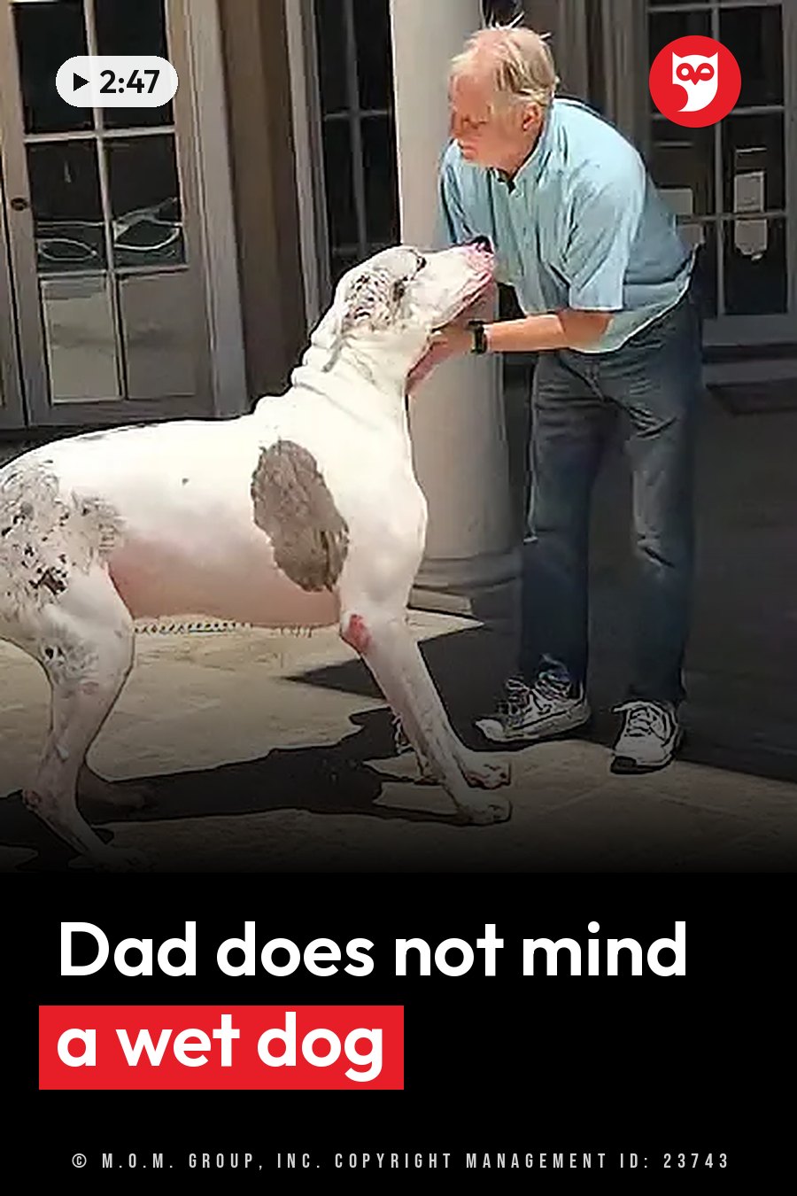 A man leans down to pet a large white dog with gray spots on a porch near glass doors. A headline runs in white letters across the lower third.