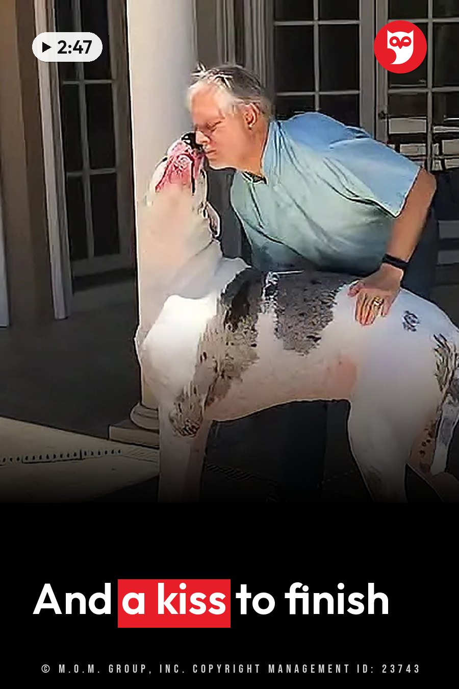 A man leans down to kiss a large white dog with black patches on its back. A headline runs in white letters across the lower third.
