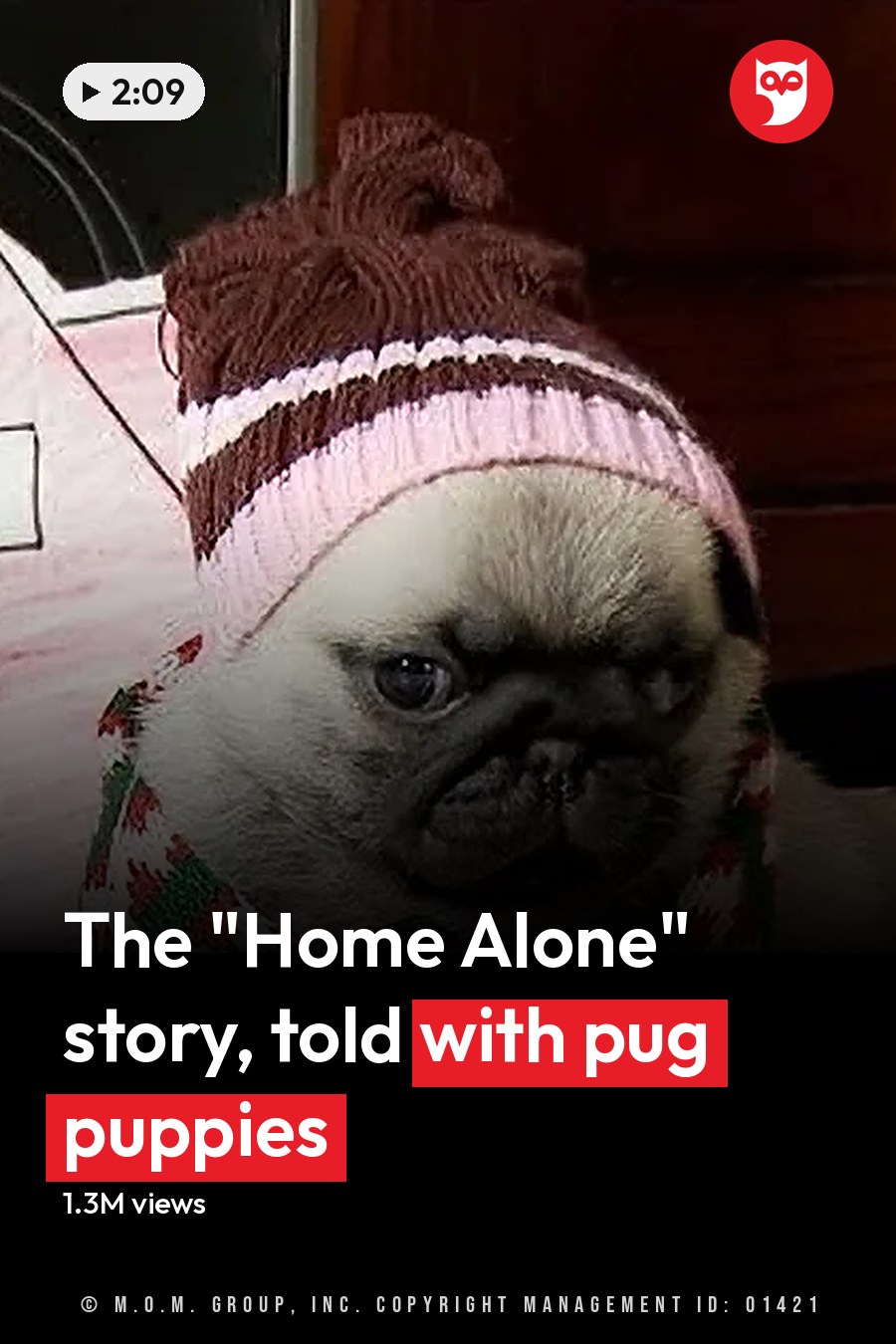 A small pug puppy with light brown fur and black markings, wearing a red and white knitted hat and scarf, indoors in a cozy setting. The headline runs in white letters across the lower third.