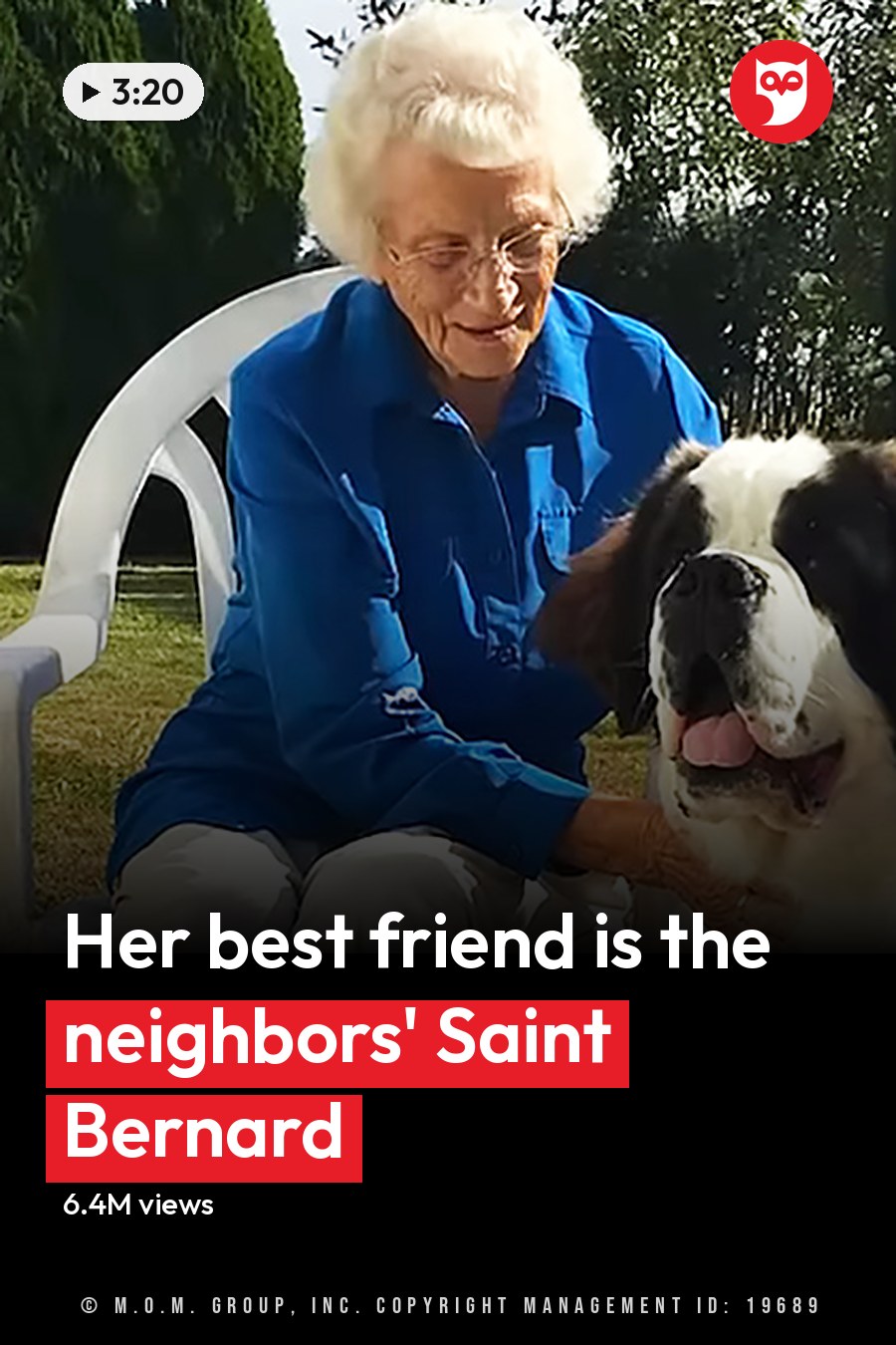 An older adult woman with a Saint Bernard dog in a garden setting during spring or summer with natural sunlight. The headline runs in white letters across the lower third.